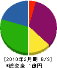 田内電気 貸借対照表 2010年2月期
