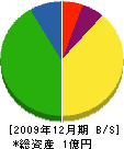 安田組 貸借対照表 2009年12月期