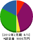 櫻澤建設興業 貸借対照表 2012年2月期