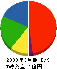 北海道電気技術サービス 貸借対照表 2008年3月期