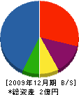 岩原 貸借対照表 2009年12月期