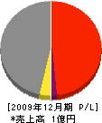 丸真藤田工務店 損益計算書 2009年12月期
