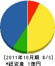 武井鉄工 貸借対照表 2011年10月期