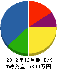和田清畳工業 貸借対照表 2012年12月期