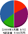 枝川建設 貸借対照表 2009年3月期
