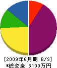 倉田電気工業所 貸借対照表 2009年6月期
