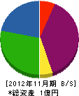阪南メンテナンス 貸借対照表 2012年11月期