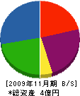 奥村商店 貸借対照表 2009年11月期