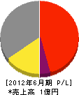 慶陽舗道 損益計算書 2012年6月期