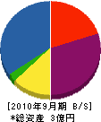 大崎工務店 貸借対照表 2010年9月期
