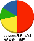 田村建設 貸借対照表 2012年5月期