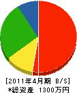 テクノ木村 貸借対照表 2011年4月期