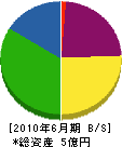 北海道相互建設 貸借対照表 2010年6月期