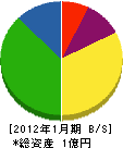 高川電気商会 貸借対照表 2012年1月期