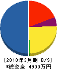 深須硝子興業 貸借対照表 2010年3月期