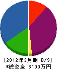松井電管 貸借対照表 2012年3月期