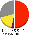 坂井商店 損益計算書 2010年6月期