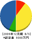 宇川組 貸借対照表 2009年12月期