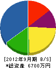 恵清建設 貸借対照表 2012年9月期