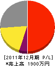 柴崎電気工事店 損益計算書 2011年12月期