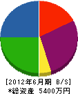 永井建設 貸借対照表 2012年6月期