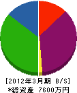 タケイチホーム 貸借対照表 2012年3月期