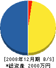 鷲尾工務店 貸借対照表 2008年12月期