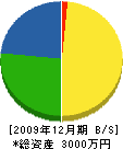 斎藤建設 貸借対照表 2009年12月期