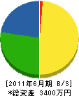 三豊組 貸借対照表 2011年6月期