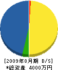 大塚塗装 貸借対照表 2009年8月期