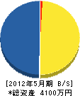 静岡市造園業（同） 貸借対照表 2012年5月期