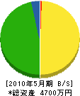 藤本土木 貸借対照表 2010年5月期