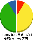 中野電気商会 貸借対照表 2007年12月期