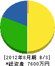 岩田鑿泉工業所 貸借対照表 2012年8月期