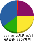 石山電工 貸借対照表 2011年12月期