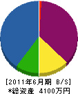 阪本土建 貸借対照表 2011年6月期