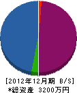 光伸電機 貸借対照表 2012年12月期