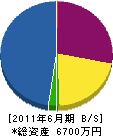 竹川建設 貸借対照表 2011年6月期