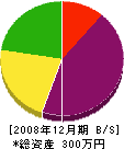 川＊建設 貸借対照表 2008年12月期