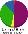 横井組 貸借対照表 2011年6月期