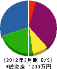 アキラ電気 貸借対照表 2012年3月期