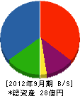 榊原建設 貸借対照表 2012年9月期