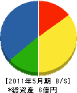 加茂工業 貸借対照表 2011年5月期