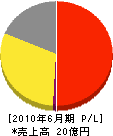 日本自動ドア 損益計算書 2010年6月期