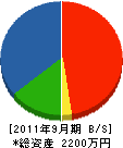 新栄土木 貸借対照表 2011年9月期