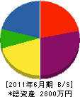 池田経師店 貸借対照表 2011年6月期