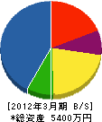 堤田建設 貸借対照表 2012年3月期