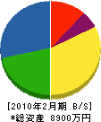 穂高電気工事 貸借対照表 2010年2月期