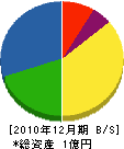 大塚組 貸借対照表 2010年12月期