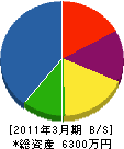平井商店 貸借対照表 2011年3月期